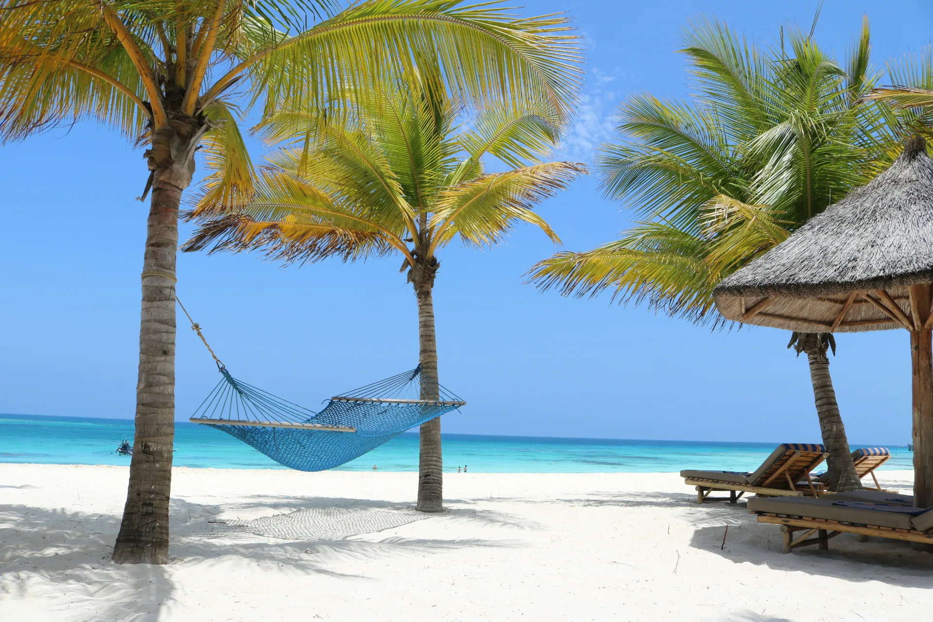 Hammock between palms on a white Zanzibar beach