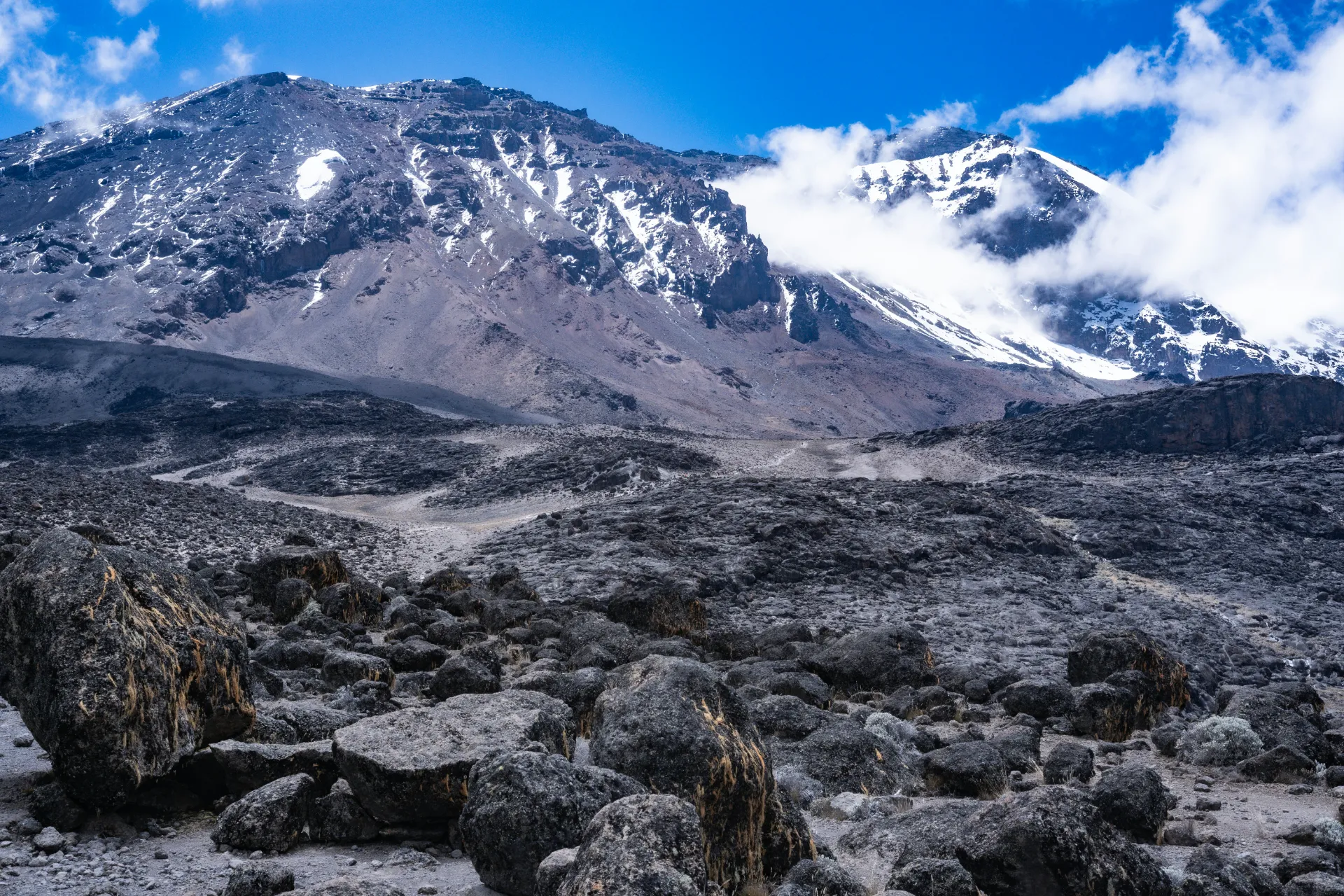 Kilimanjaro rising above the alpine desert on the Machame route