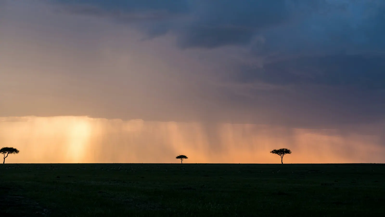 Rain falling over the plains at sunset in Tanzania