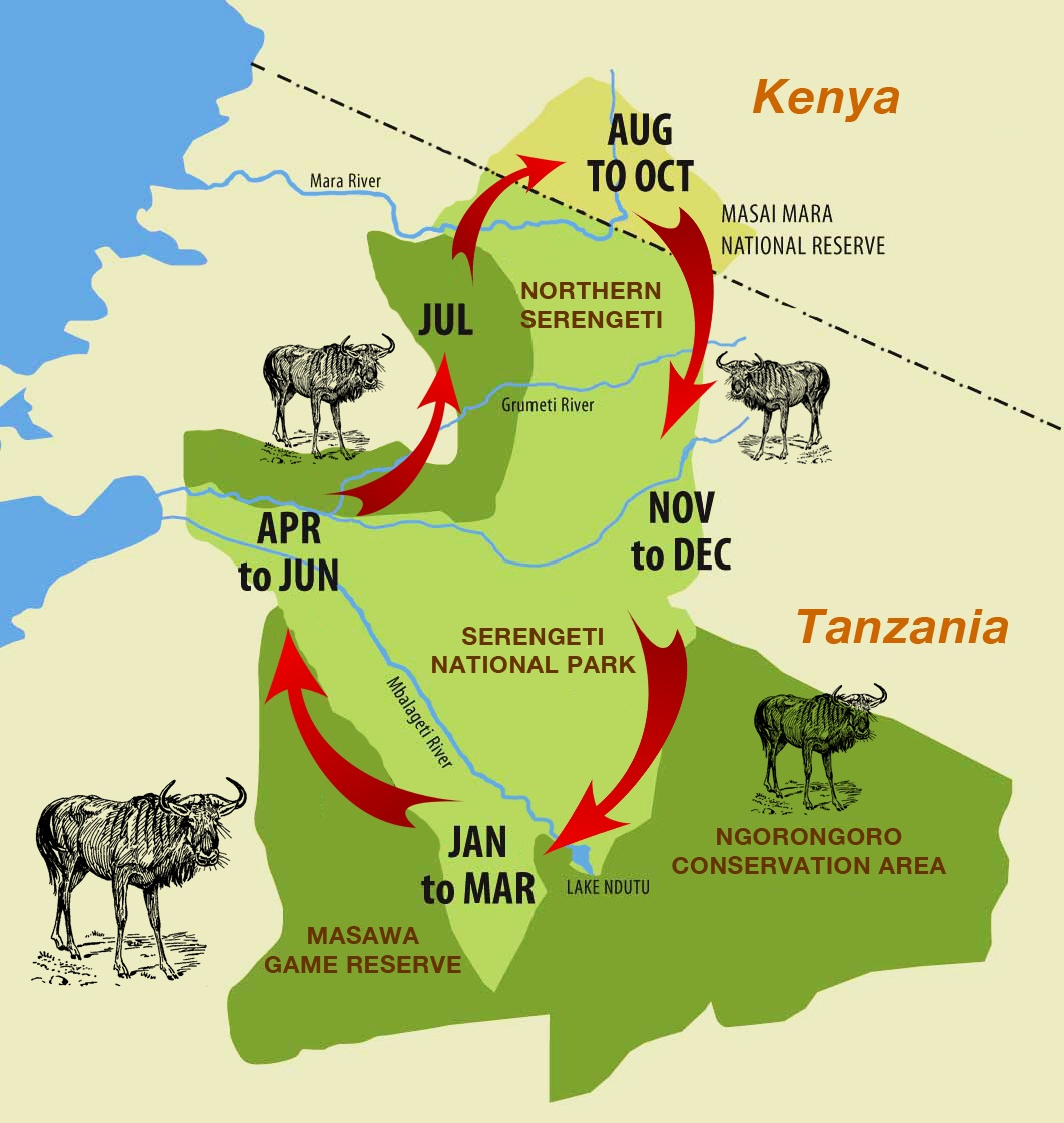 migration_map