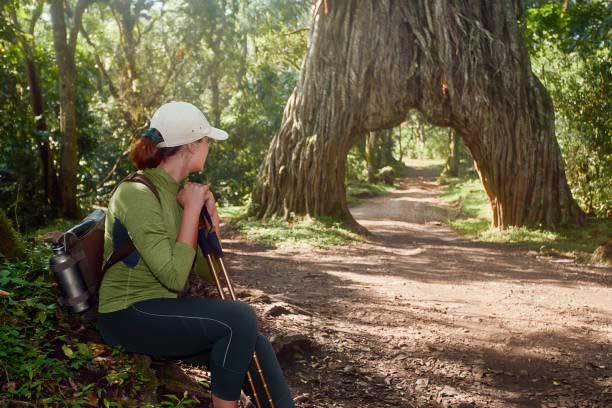 arusha-national-park