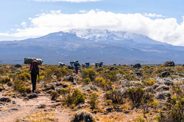 Mount Kilimanjaro