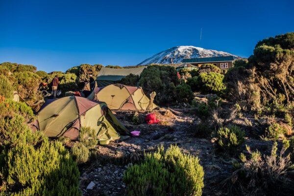 kilimanjaro