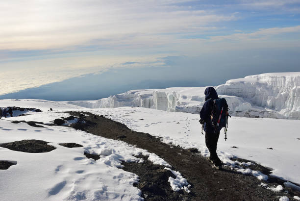 kilimanjaro