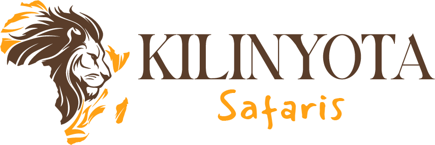 Kilinyota safaris logo