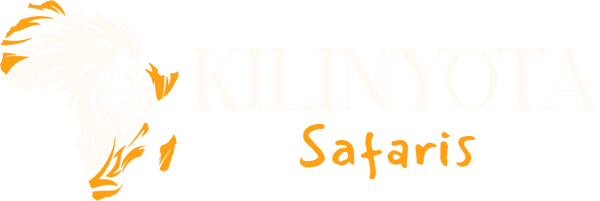 second kilinyota logo